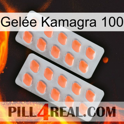 Gelée Kamagra 100 27